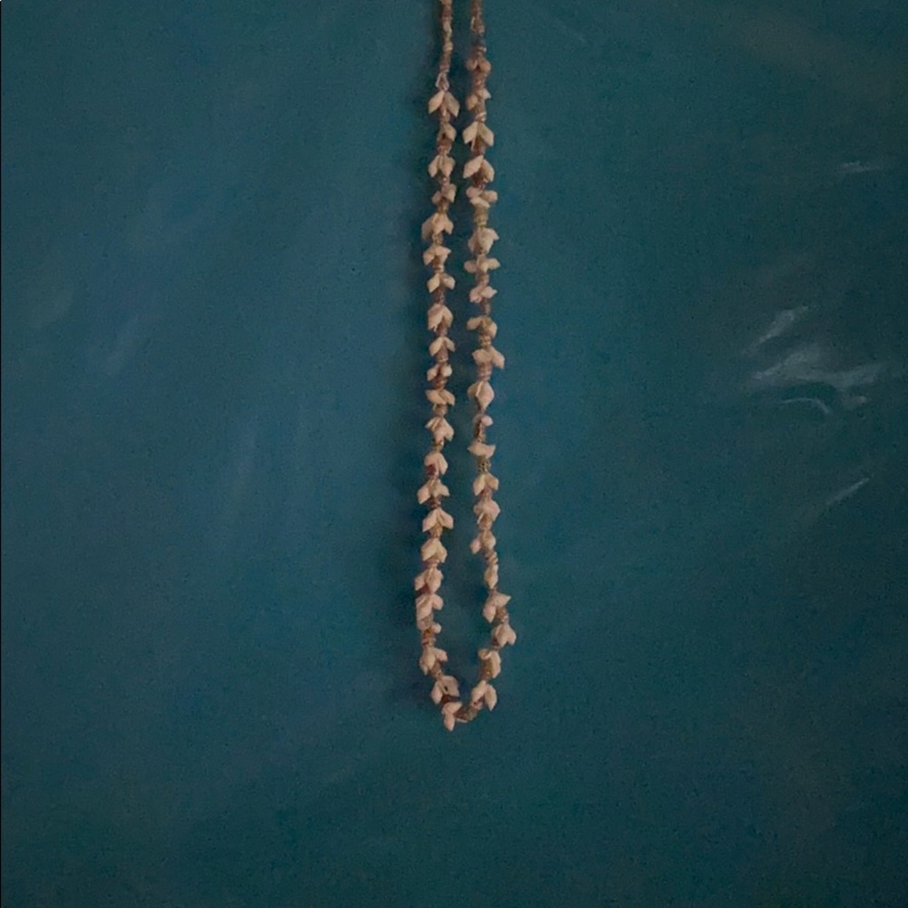 Seashell necklace